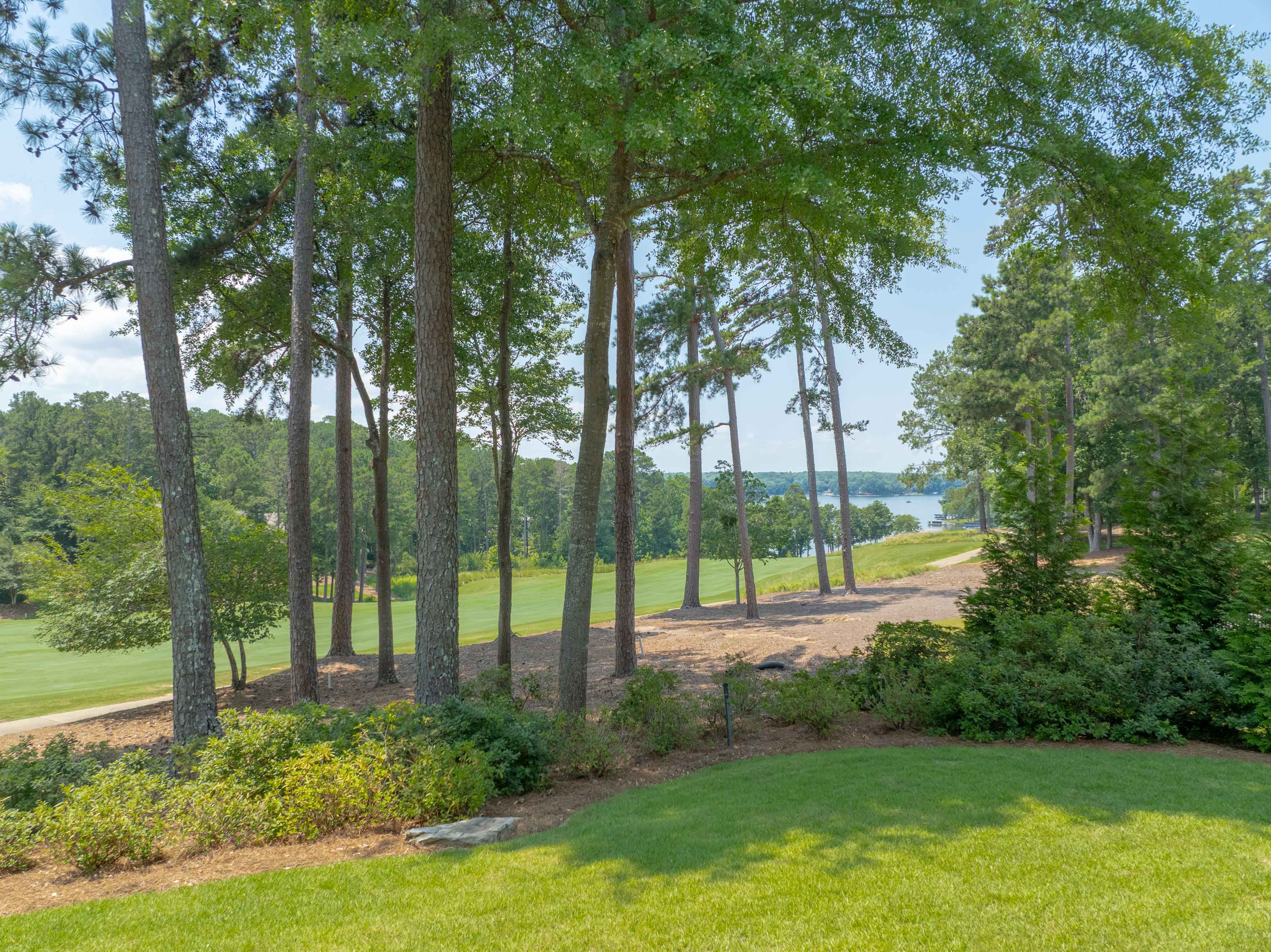 1030 Alanson Court image 5